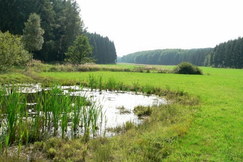 Haißbacher Grund