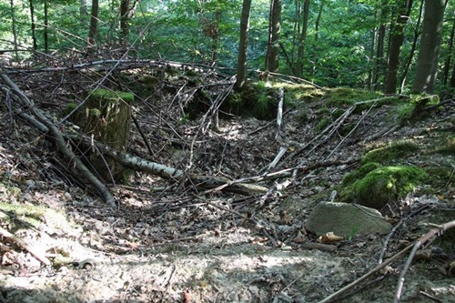 Hügelgrab Alte Berg